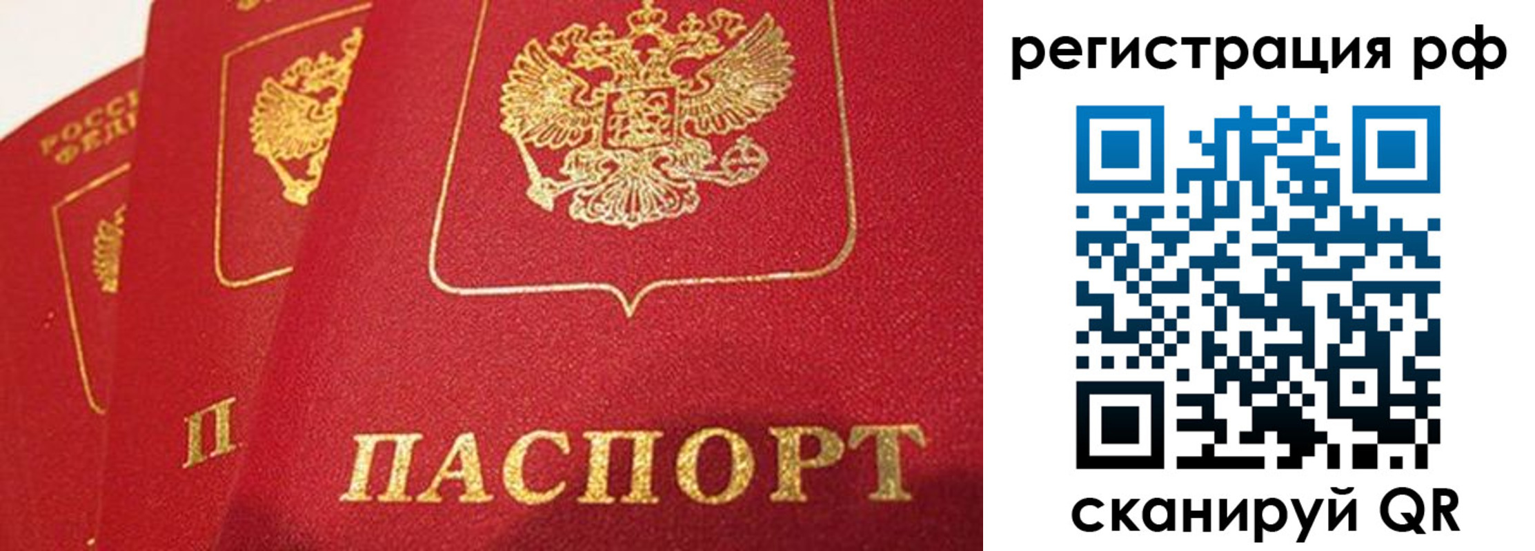 прописка поиск в Арсеньеве